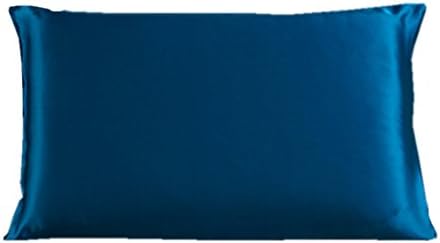 Olanby 100% Mulberry Silk Pillow Shams Cover with Hidden Zipper Pillowcase (Queen, Peacock Blue)
