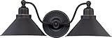 Nuvo Lighting 60/1711 Two Light Wall Sconce (Tools &amp; Home Improvement)