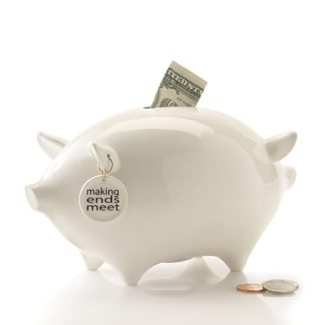 Amazon Com Money Talks Piggy Bank Deluxe Making Ends Meet Toys -