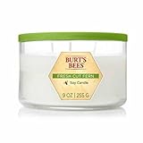 Burt's Bees Fresh Cut Fern Soy Candle, 9 oz