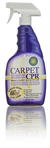 CPR Cleaning Products Carpet CPR Spot & Stain Remover, 24-oz