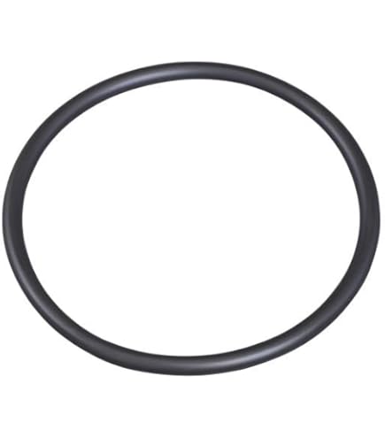 Amazon.com: Subaru Engine Timing Cover Gasket Ring Back Up