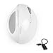 Qisan USB Wireless Ergonomic Vertical Mouse(E100) White