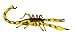 Safari Ltd  Hidden Kingdom Insects Scorpion
