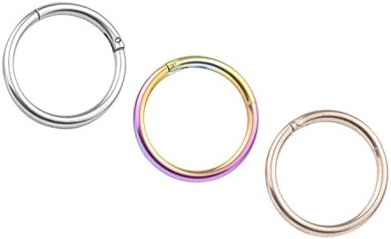 FB 16G 316L Stainless Steel Seamless Nose Ring Hoop Hinged Body Piercing Earring Hoop Clicker Ring……