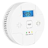 Combination Smoke Carbon Monoxide Alarm Detector