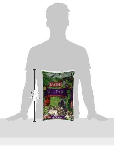 KAYTEE NUT & FRUIT WILD BIRD SEED, 5 LB