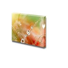 Canvas Prints Wall Art - Nature View of Water Drops on Grass | Modern Wall Decor/Home Decoration Stretched Gallery Canvas Wrap Giclee Print & Ready to Hang - 12" x 18"