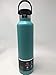 Hydro Flask Double Wall Vacuum Insulated Stainless Steel Leak Proof Sports Water Bottle, Standard Mouth with BPA Free Flex Cap, Mint