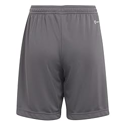 adidas Kids' Entrada 22 Training Shorts, Team Grey