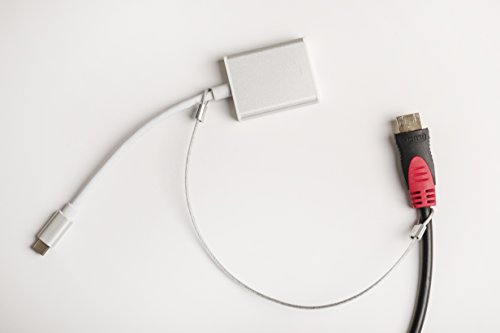 TetherTiesHD Silver Heavy Duty 30 Pack â€“ The New 2017, Heavy Duty, Fast to Install Computer and Adapter Security and Theft Prevention Device to Lock Down VGA Adapters, Mac Adapters.