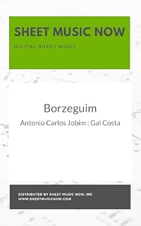 Livro Borzeguim