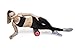 Foam roller - 2 in 1 textured muscle roller for physical therapy workouts on your trigger point, massage, yoga and balance