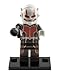 Antman Avengers Civil War Heroes DC Marvel Super Hero Minifigures Compatible With Lego TOY DC Universe 2016