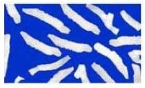 MarxCoconut Coral Snow Flake Coconut, 10 Pound -- 3 per case.