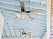 Home Decorators Collection Grayton 54 in. Indoor/Outdoor Galvanized Ceiling Fan