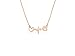 Rose Gold Tone Paw Heartbeat Dog Necklace for Dog Lovers & Veterinarians