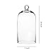 Whole Housewares Clear Glass Cloche Bell Jar - Glass Display Dome