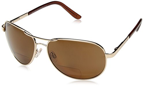 suncloud sunglasses canada