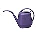 Bloem Living AW21-56 Aqua Rite Watering Can, 56-Ounce, Exotica