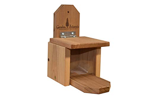 Garden Artworks Jay/Squirrel Nut Box Feeder