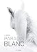 Paradis blanc (French Edition) by 