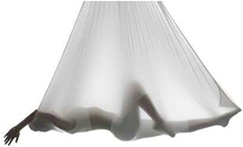 MHSH 8Color Size 5×2.8m(width)/5.5×3yards Anti-Gravity Arial Yoga Swing Hammock Pilates bodybuilding Fitness Inversion therapy with Carabiner Daisy Chain and Ceiling Bolts Silk Nylon Fabric (White)