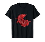 Aquarium Fish Farmers Aquarist Aquaristics Fish
