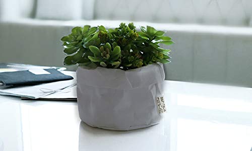 B&P Italia Pot Cover for Plants in Cellulose Fibre, Havana 19x12cm grey