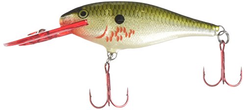 Rapala Shad Rap 07 Fishing lure (Bleeding Olive Flash, Size- 2.75)