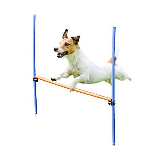 PAWISE Dog Agility Training Hurdle, Outdoor Dog Agility Jump Toy Set