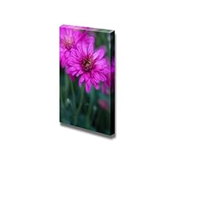 Canvas Prints Wall Art - Closeup of a Daisy Beautiful Flower Photograph | Modern Wall Decor/Home Decoration Stretched Gallery Canvas Wrap Giclee Print & Ready to Hang - 18" x 12"