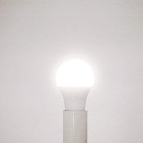 Litake A19 LED Bulbs 5000K, Daylight 100 Watt Equivalent LED Light Bulbs, 1100LM, 100-240V, 11W E26 Base LED Household Light Bulbs - 12 Pack