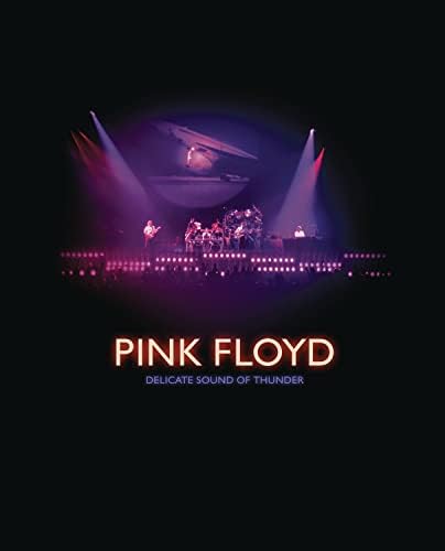 Pink Floyd - Delicate Sound of Thunder - Amazon.com Music