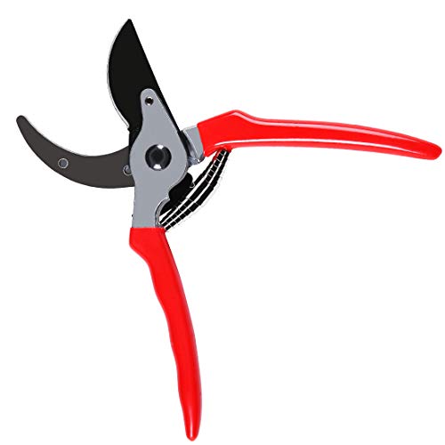Terme 8" Small Professional Pruning Shears for Garden, Heavy Duty Tree Trimmers Sharp Bypass Hand Pruners with Stainless Steel Blades and Ergonomic Handle Fruit Trimming Tool - Thumbnail 3