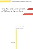 Image de The Rise and Development of Collective Labour Law (International and Comparative Social History)