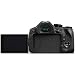 Panasonic Lumix FZ300 4K Point and Shoot Digital Camera with 24x Leica DC Vario-Elmarit 25-600mm Lens DMC-FZ300K Bundle with Deco Gear Bag Case + Filter Kit + Photo Video Software & Accessoriesthumb 4