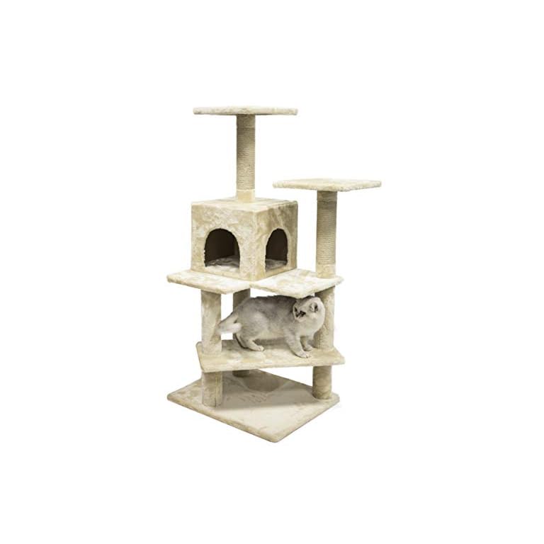 AmazonBasics Cat Tree with Condo The Cat Site