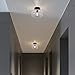 TeHenoo Industrial Flush Mount Ceiling Light, Texture Clear Glass Shade Semi Flush Mount for Hallway,Entryway,Foyer,Bedroom, Cafe, Bar, Corridor,Passway