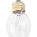 Hatco 02.30.043.00 Coated Bulb - Durable and Long-Lasting - Pack of 10