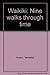 Waikiki: Nine walks through time by