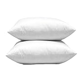 Warmwithann Set of 2, 20 x 20 Inches Cotton Fabric