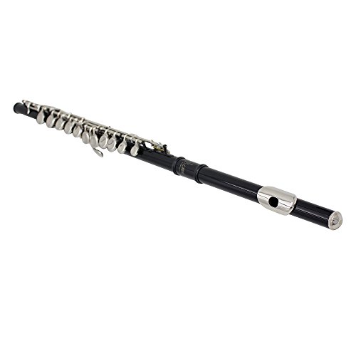 Anmas Home 16 Key Closed Hole C Flute With Case,Cleaning Rod,Cloth,Joint Grease and Screw Driver (Black)