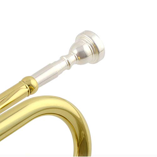 Apelila Gold Trumpet Brass Standard Bb Trumpet-Student Beginner with Hard Case,Gloves,Mouthpiece,Soft Cleaning Cloth,Strap,and Valve Oil - Thumbnail 4
