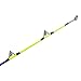 Fiblink 6' Saltwater Jigging Spinning Rod 2-Piece Graphite Heavy Boat Fishing Rod (30-80-Pound Test)