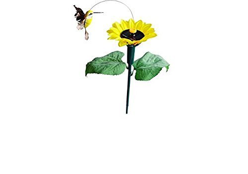 Wicostar JS Parea colibrí con Girasol Solar jardín Patio Juego ...