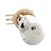 Delphi FG0072 Fuel Pump Module