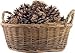 Winter Woods Cinnamon Scented Pinecones 12-14/Pkg, Large