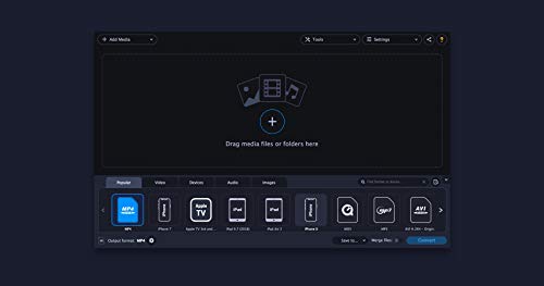 Movavi Video Converter Premium 2020 Personal [PC Download]