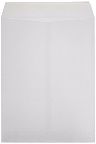 2 AmazonBasics+Catalog+Envelopes+White+250+Pack